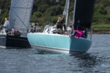 delinquent gbr8569t free bird gbr5190l whyw24 sun 750 7488